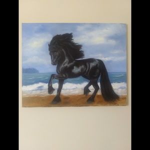 Fresian horse on the shore